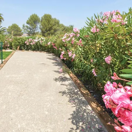 Gorgeous In Raphael *